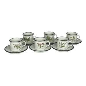ITALIAN Set (6) Espresso Tea IPA Cups & SAUCERS Demitasse Botanic Garden Flowers