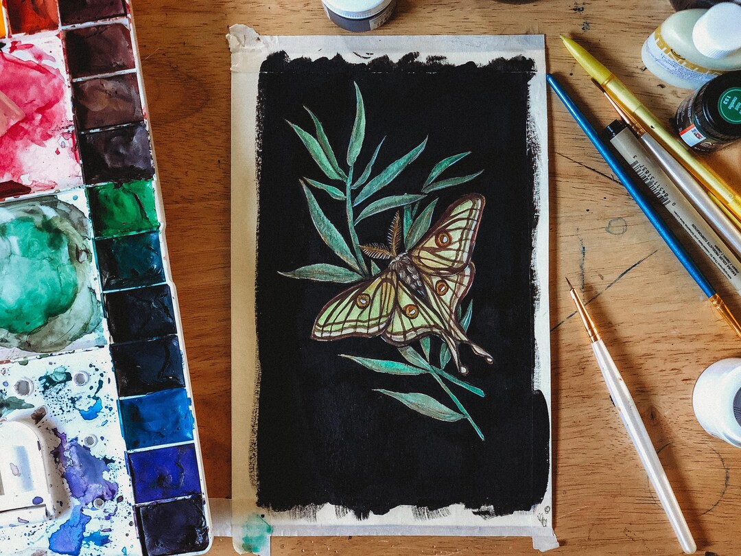 The Spanish Moon Moth Painting - Art Print - Etsy