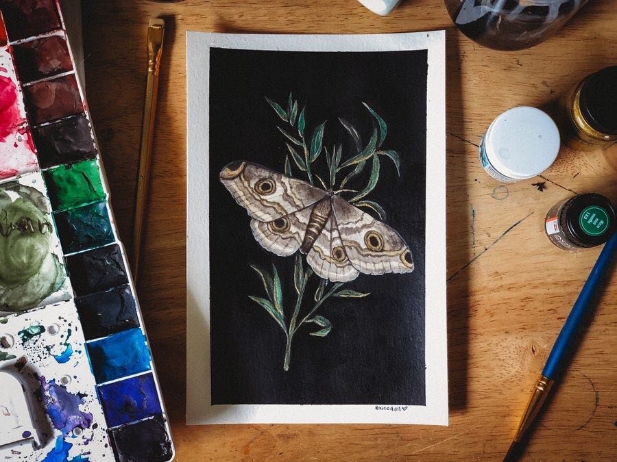 The Emperor Moth Painting - Art Print - Etsy