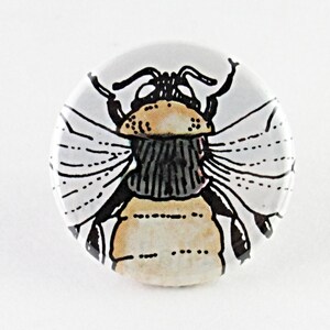 May include: A round button with a detailed illustration of a bee. The bee has a tan body, black and white striped abdomen, and white wings with black outlines. The button is set against a white background.