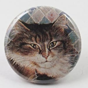 Cats - Various (see photos) -1.25&quot; button - Pin