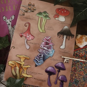 Stickervel Cottagecore Champignons