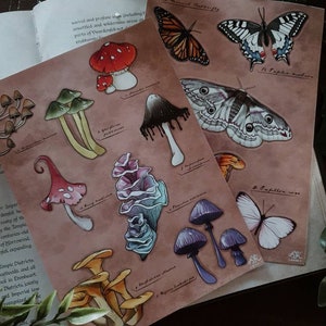 Cottagecore Collection Sticker Sheets