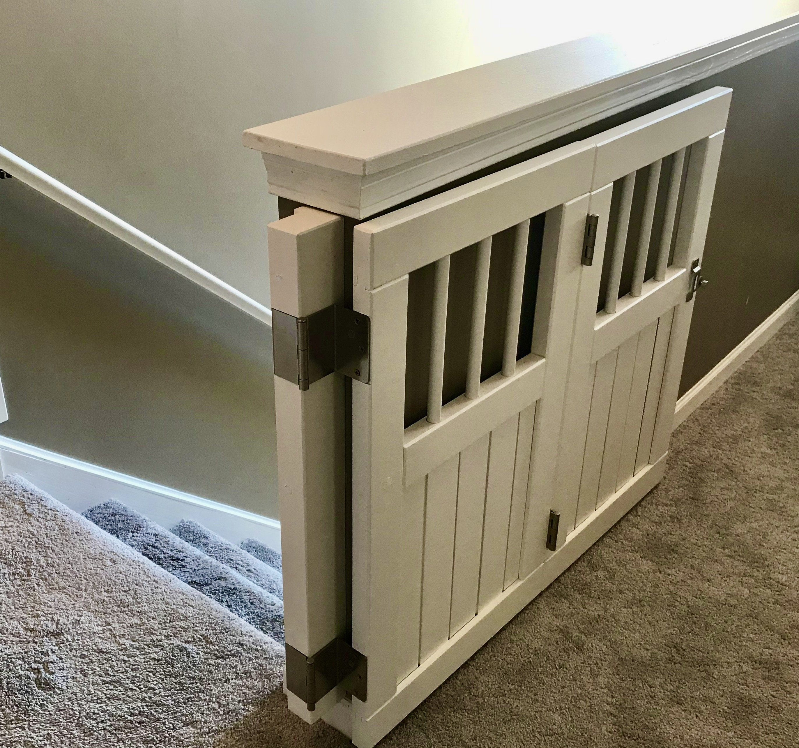 Hinged dog door 2025