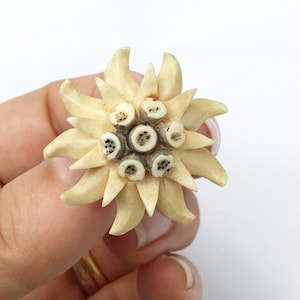 1930s, carved celluloid, edelweiss brooch.