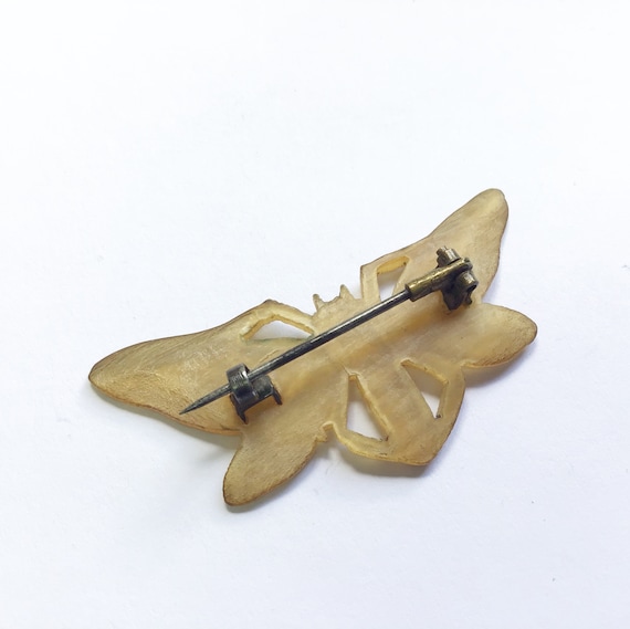 Art nouveau, carved horn, butterfly, or moth, bro… - image 4