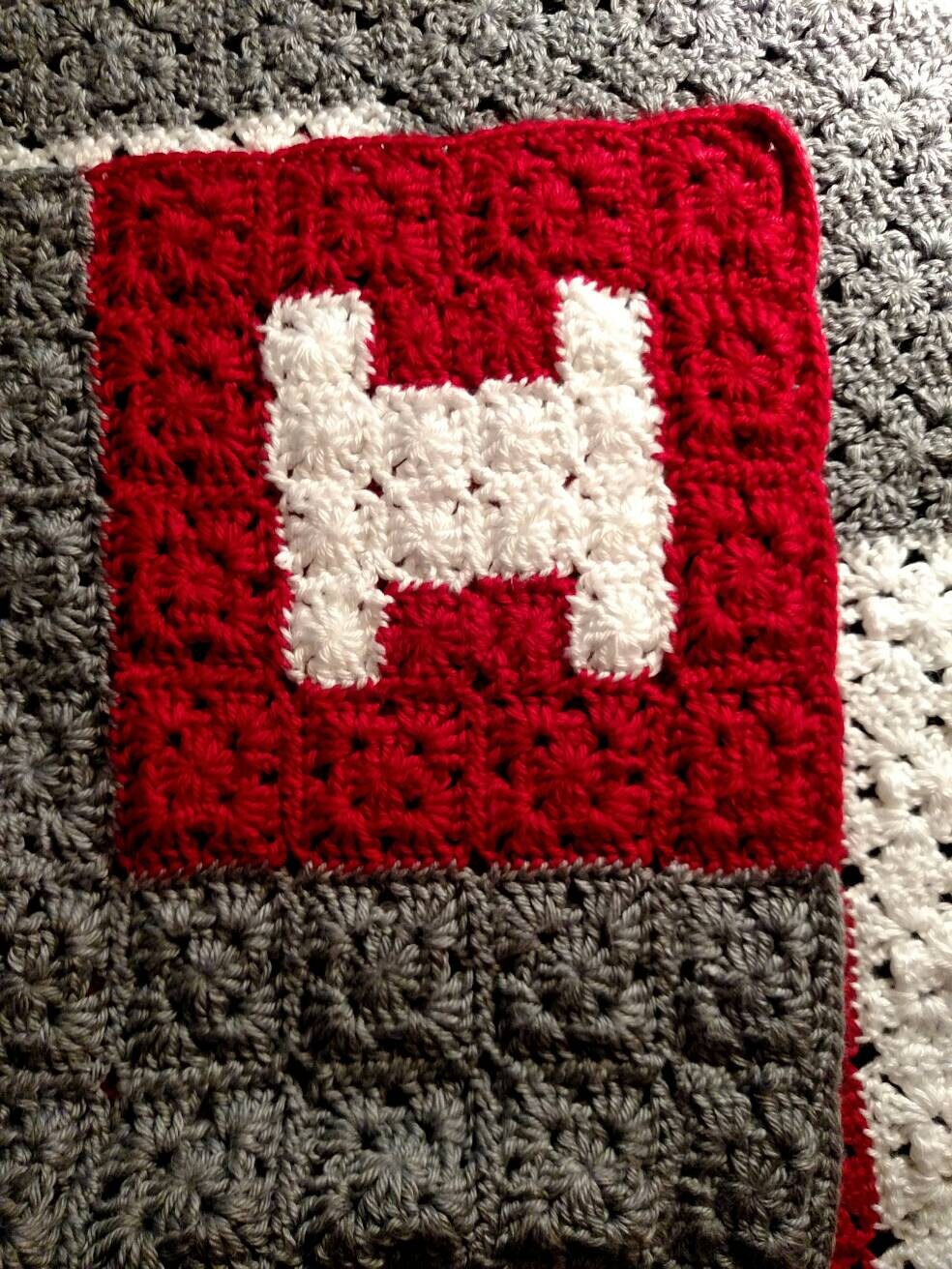 Ohio State Crochet Blanket Customizable Handmade Block O Etsy