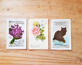 3 Vintage Birthday Postcards, Real Photograph of Cat, Posy of Flowers, Roses Antique Post Card, A Happy Birthday Card, c1930, Used