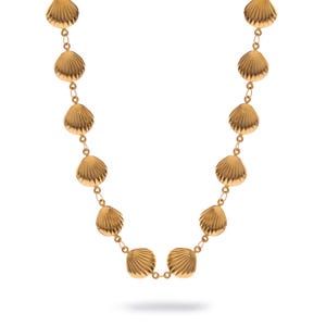 Sun Kissed Seashell Energy Necklace