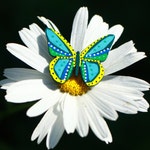 Painted wooden butterfly pin