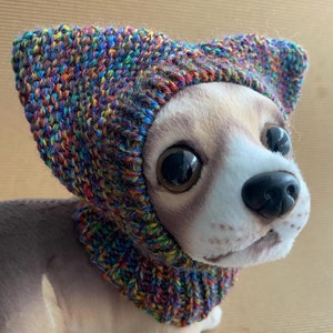 May include: A plush dog wearing a colorful knitted hood. The hood is made of yarn in a rainbow of colors, including blue, green, yellow, and red. The dog has large, expressive eyes and a black nose.