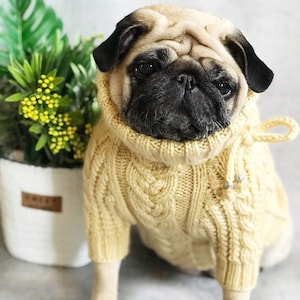 Pug jumper knitting pattern best sale