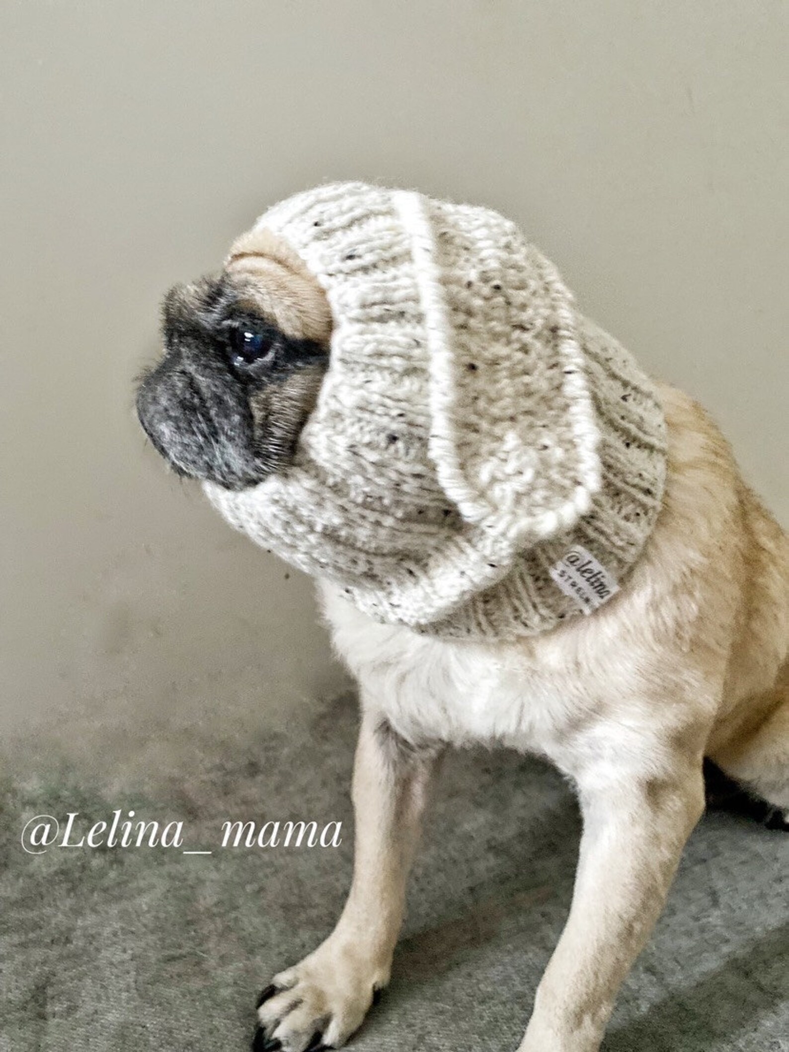 Hat for Pug, Dog Clothes, Hat for Dogs, Costume for Pug, Ears for Dogs