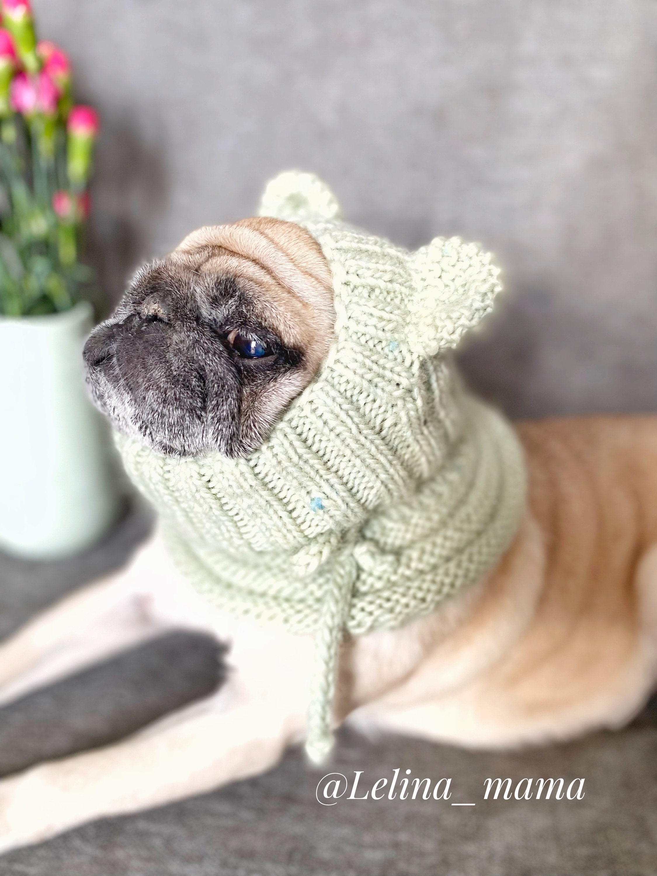Hat for pug, dog clothes, hat for dogs, costume for pug, ears for dogs, ear protection, clothes for pug, headwear for dogs