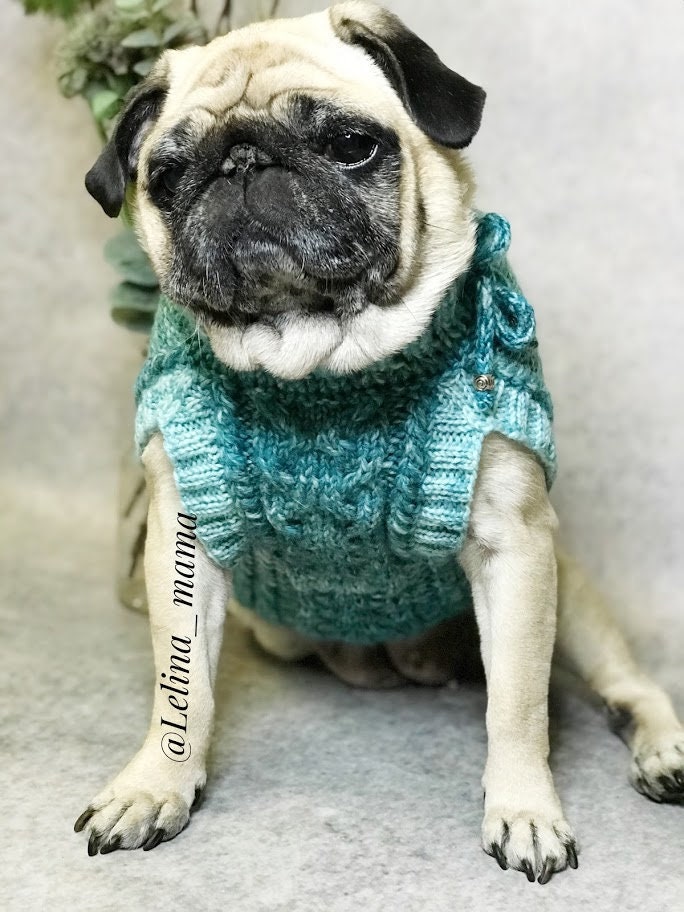 Pug Ropa Chaleco para perros, ropa para un pug, suéter de punto para un perro ...