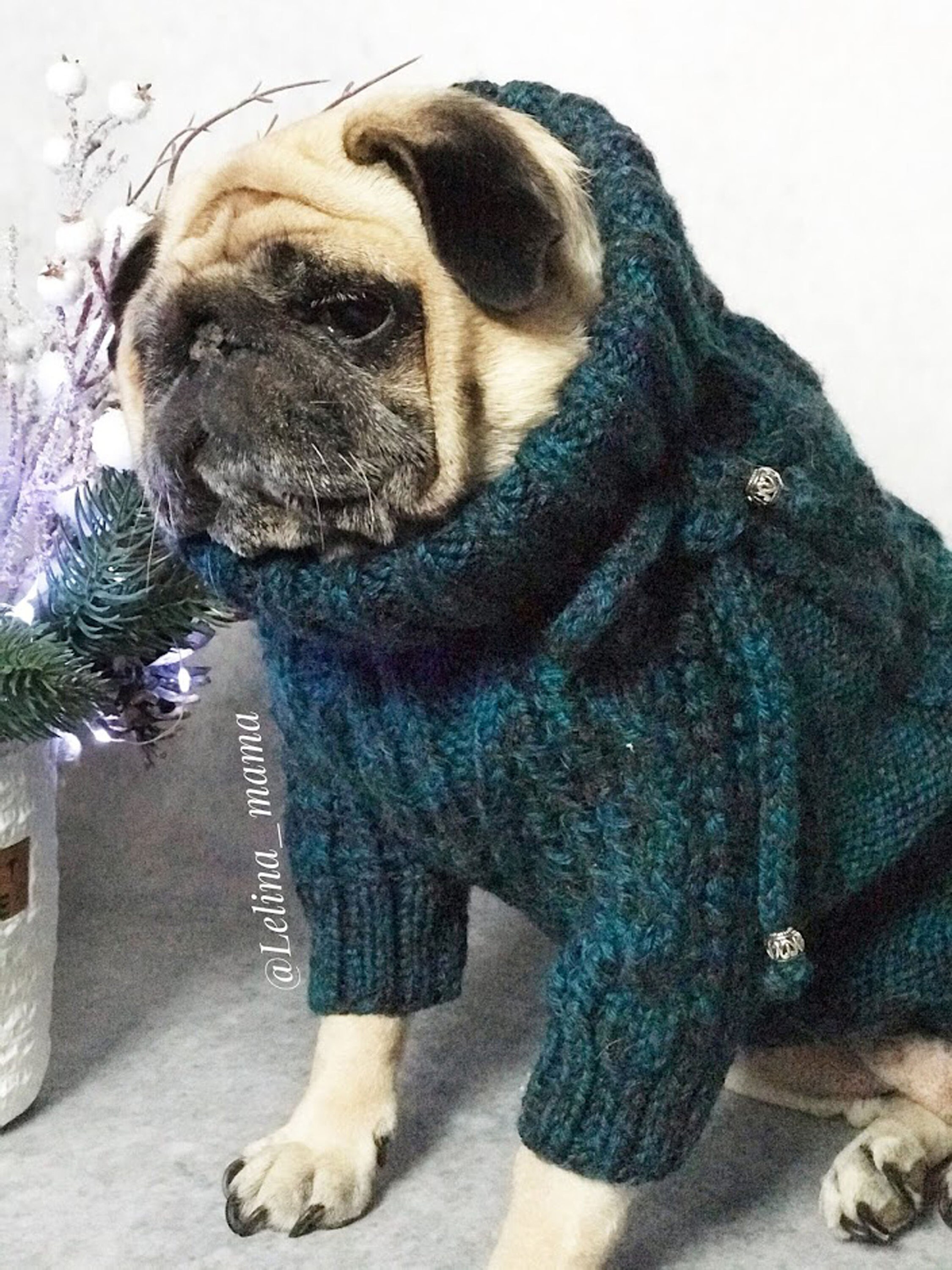 Pug Clothes Knitted Arana Sweater Dog Sweater Bulldog Etsy