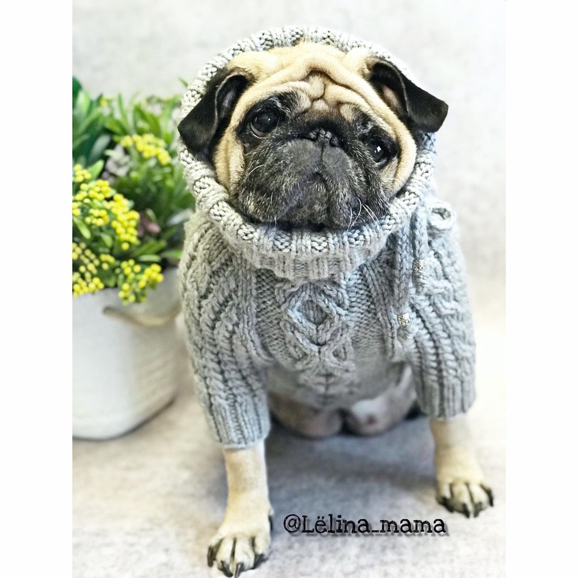 Pug Clothes Knitted Aran Sweater Dog Sweater Knitted Dog Etsy