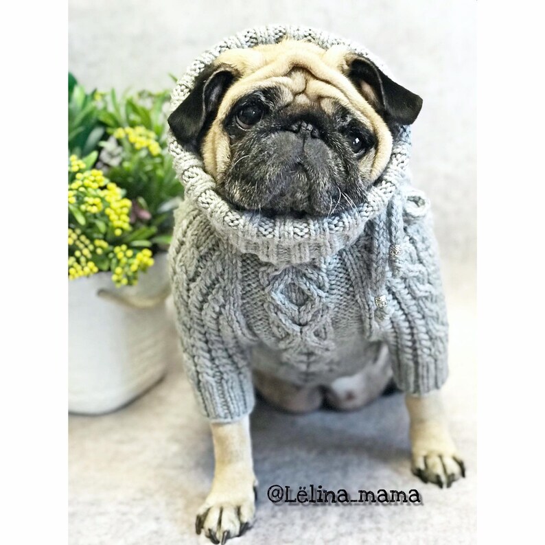 Pug Clothes Knitted Aran Sweater Dog Sweater Knitted Dog Etsy