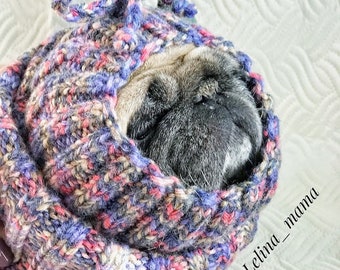 hat for pug dog