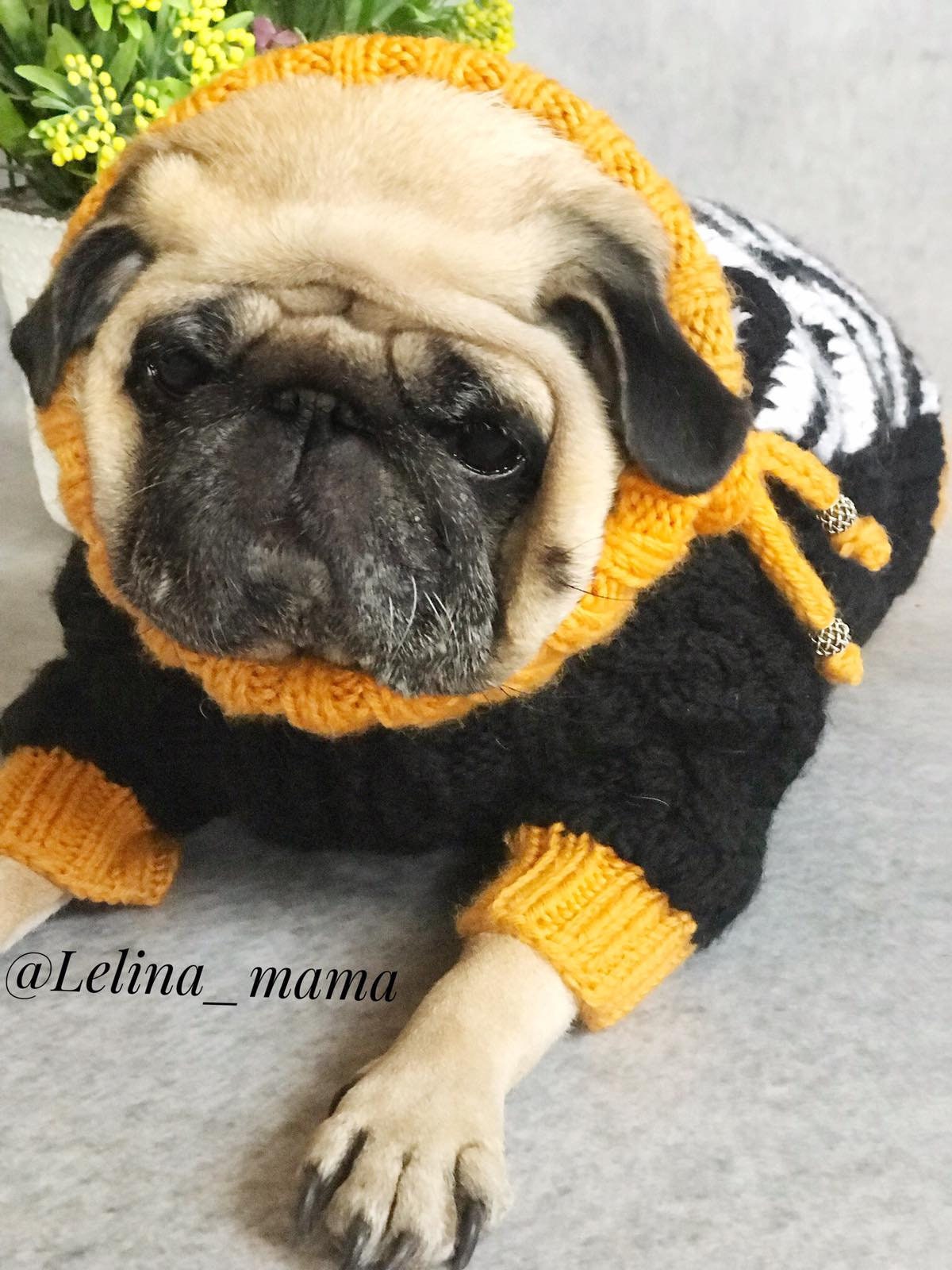 Cool Yellow and Black Sweater Pug Clothes Knitted Aran Sweater Dog Sweater Knitted Dog Sweater