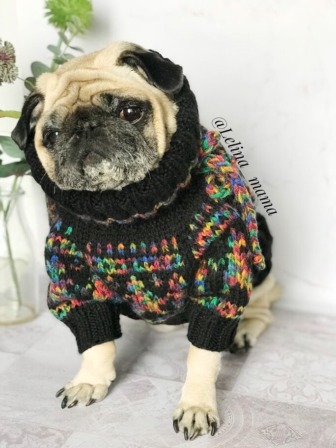 Sweater for pug Rainbow clothes for pug knitted Etsy