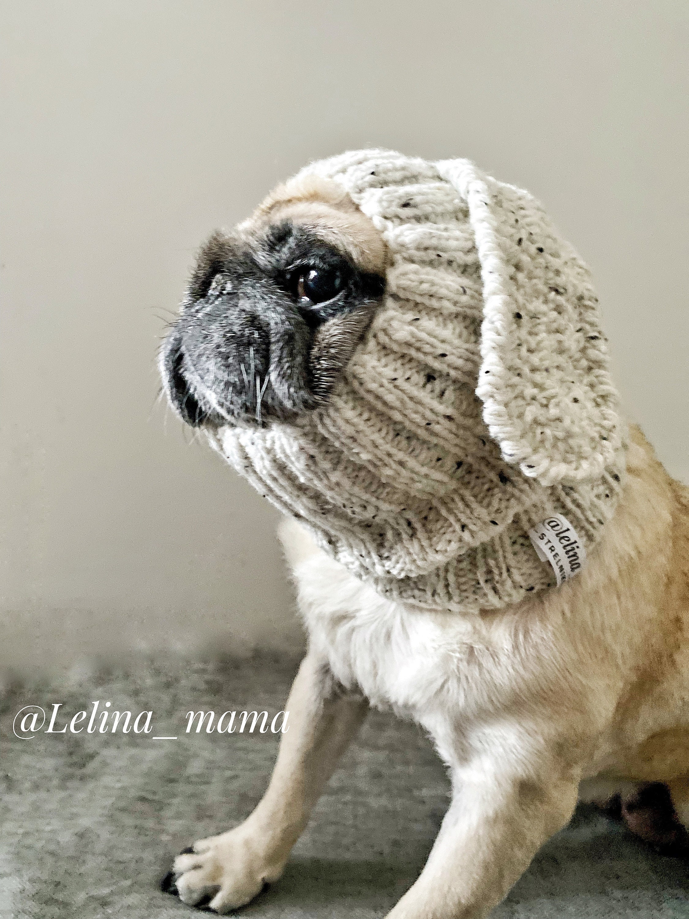 Hat for Pug, Dog Clothes, Hat for Dogs, Costume for Pug, Ears for Dogs