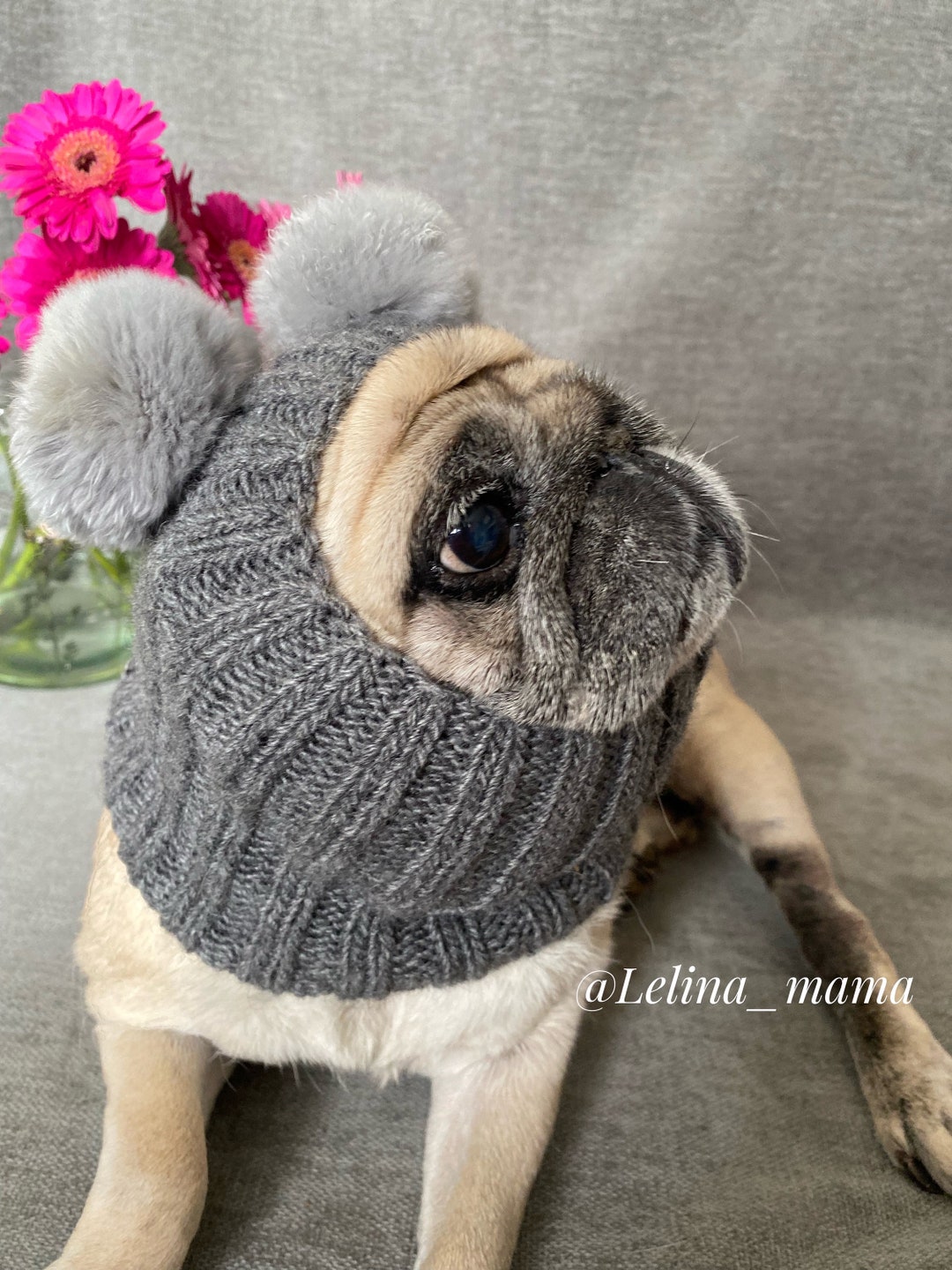 Hat for Pug Dog Clothes Hat for Dogs Costume for Pug Ears Etsy