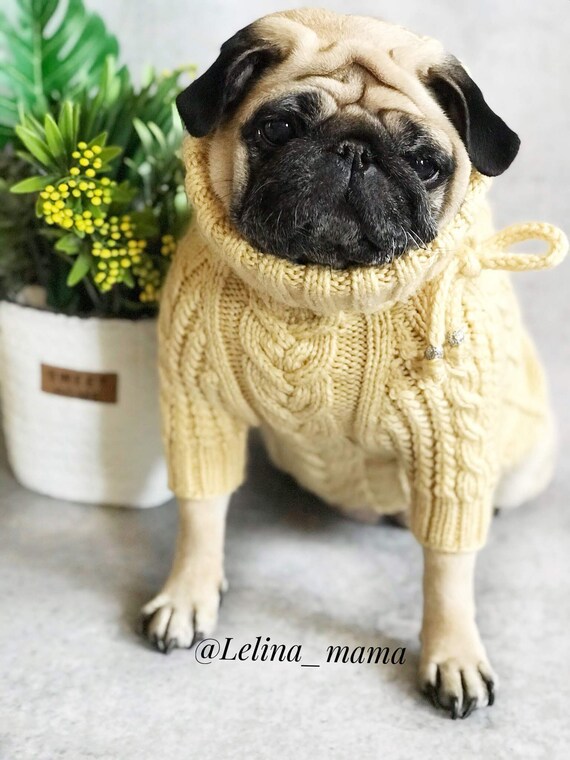 Pug Clothes Knitted Aran Sweater Dog Sweater Knitted Dog - Etsy UK
