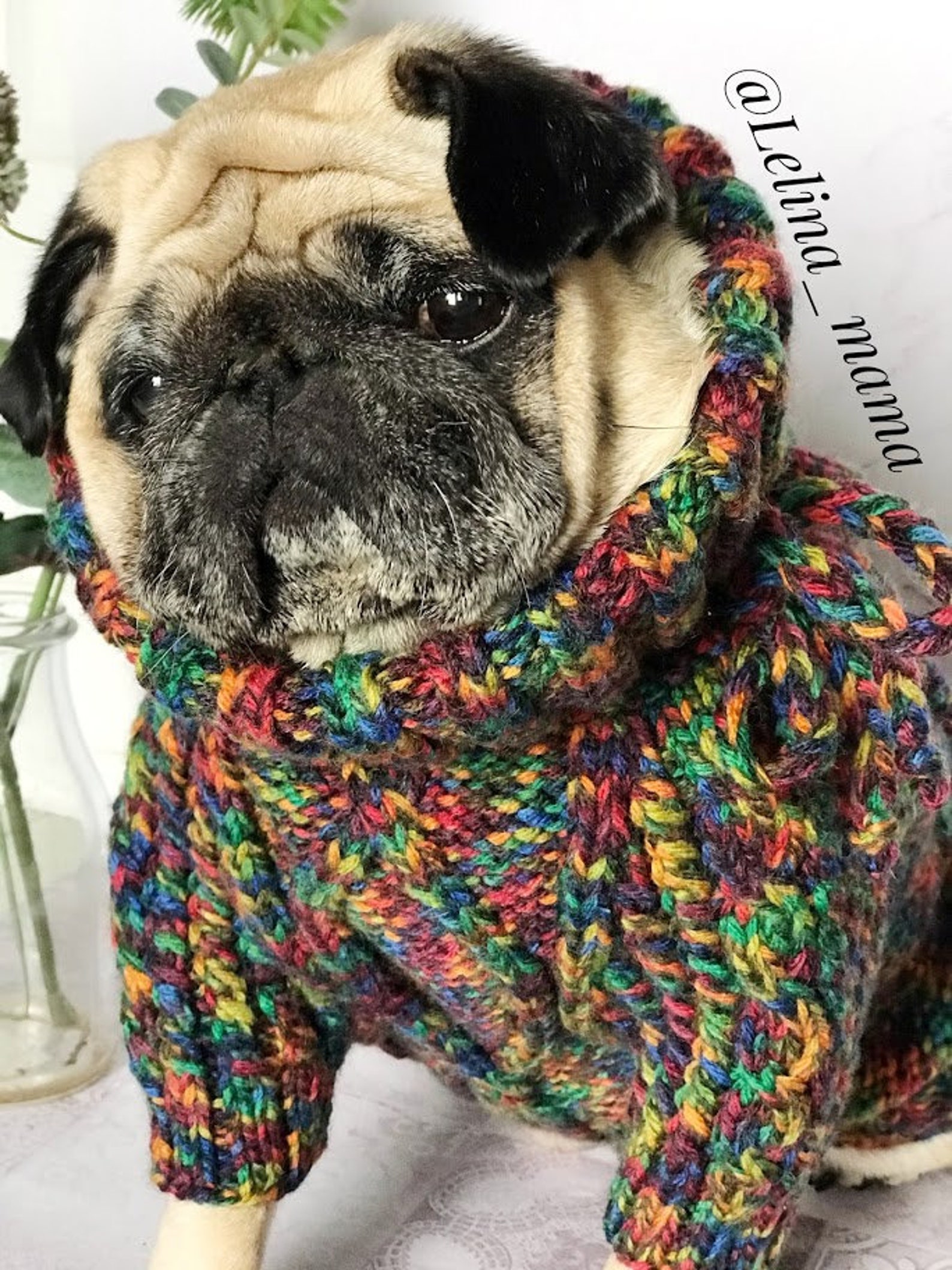 Pug Clothes For Pugs
 Sweater for pug Rainbow clothes for pug knitted