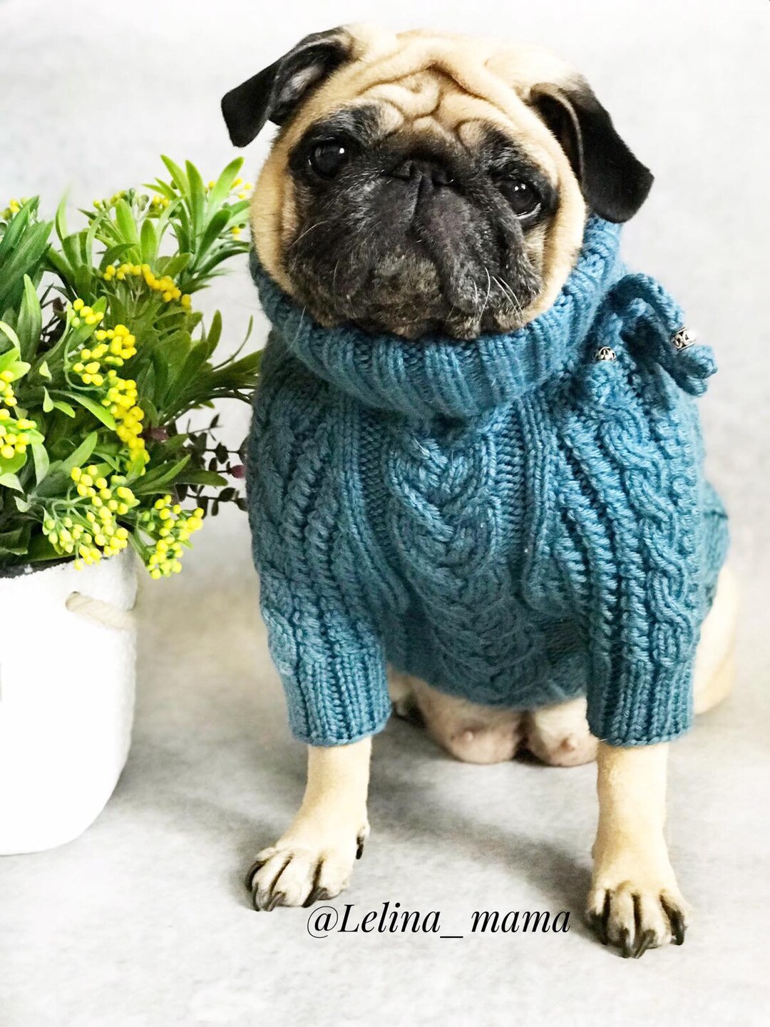 Suéter para un pug Etsy México