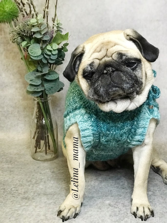 Pug Ropa Chaleco para perros, ropa para un pug, suéter de punto para un perro ...