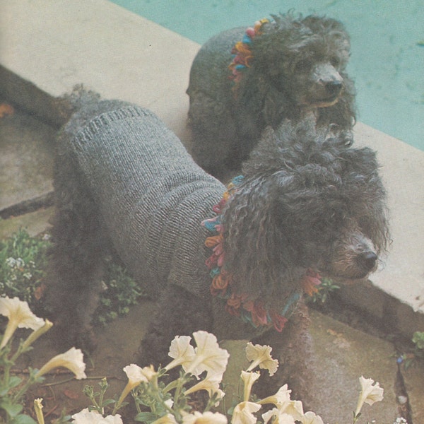 Vintage Loopy Collar Dog Coat/ Sweater Knitting PDF Pattern