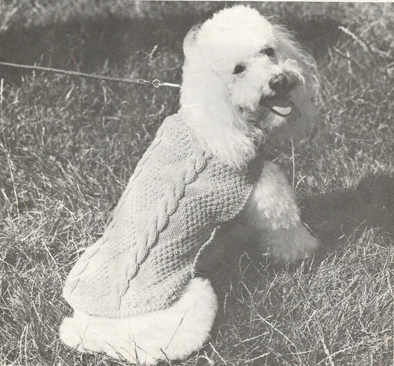 Standard online poodle coats