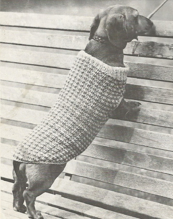 Vintage Dog Coat, Dachshund Dog Sweater, Small Dog Jumper Knitting PDF  Pattern - Main Image