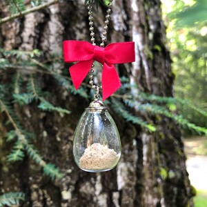 May include: A silver chain necklace with a red bow and a clear glass teardrop-shaped pendant filled with a white substance.