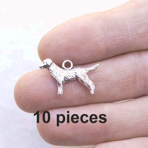 May include: Ten silver-toned dog charms, each featuring a detailed silhouette of a dog. The charms have a small loop at the top for attaching to jewelry or other crafts.