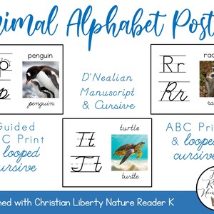 May include: A set of printable alphabet posters featuring animals and letter tracing practice. The posters include a penguin, raccoon, and turtle. The text on the posters includes "Guided ABC Print & looped cursive", "D'Nealian Manuscript & Cursive", and "ABC Print & looped cursive".