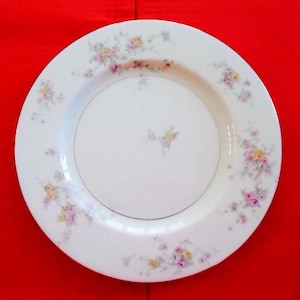 GLORIA by THEODORE HAVILAND New York China Dinner Plate, Multicolor Floral, Vintage 1940s