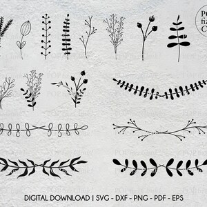 Botanical clipart bundle, Wedding wreath clipart, Flower and leaf png, Hand drawn botanical leaves svg, Botanical borders and flowers png