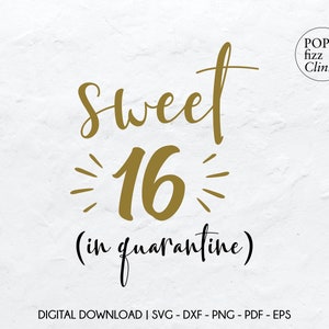Free Free 285 Sweet 16 Quarantine Svg SVG PNG EPS DXF File