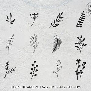 Botanical clipart bundle, Wedding leaf designs png, Hand drawn botanical leaves svg, Wedding clipart, Floral svg bundle, Botanical vectors