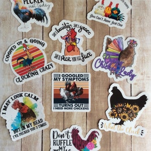 Stickers poulet - Stickers poulet individuels - Stickers vinyle entièrement imperméables - Humour de poulet - Cadeaux pour les propriétaires de poulet - Crazy Chicken