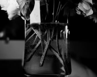 Fine Art Lustre Photographic Print-Bouquet of Stems