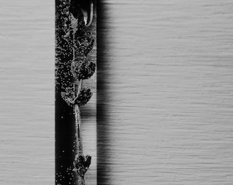 Fine Art Lustre Photographic Print-Lavender