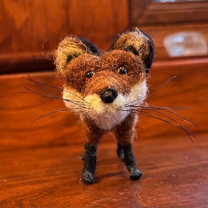 Little Mr. Fox is a very polite and curious fellow!
