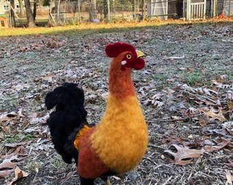 Say hello to Mr. Rooster!