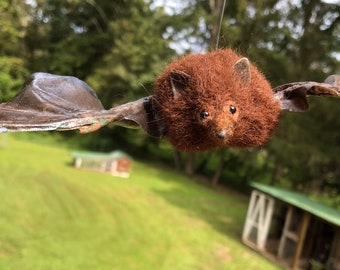 Little Fruit Bat wants to hang out with you!