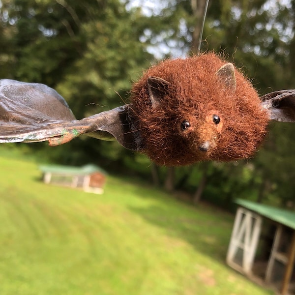 Little Fruit Bat wants to hang out with you!