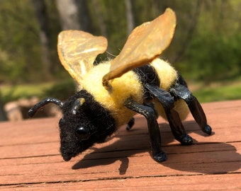 Mr. Bumble Bee has landed!