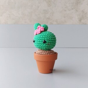 PATTERN ONLY Twin CactX Crochet PDF pattern, amigurumi crochet cactus pattern, chubby cactus, CactX pattern, succulent, pattern, crochet image 3